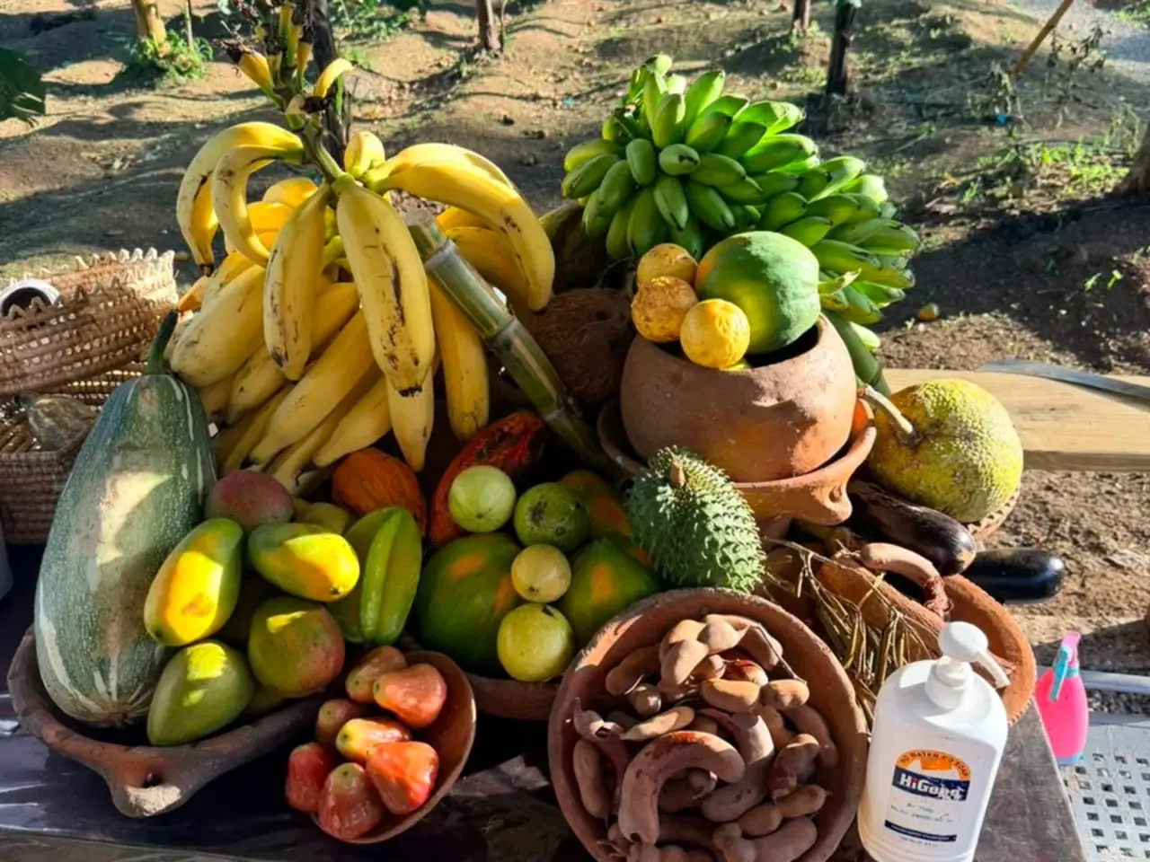 Authentic Farm Tour Experience-2