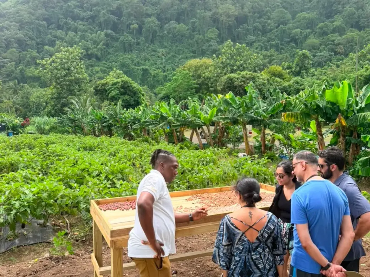 Authentic Farm Tour Experience-3