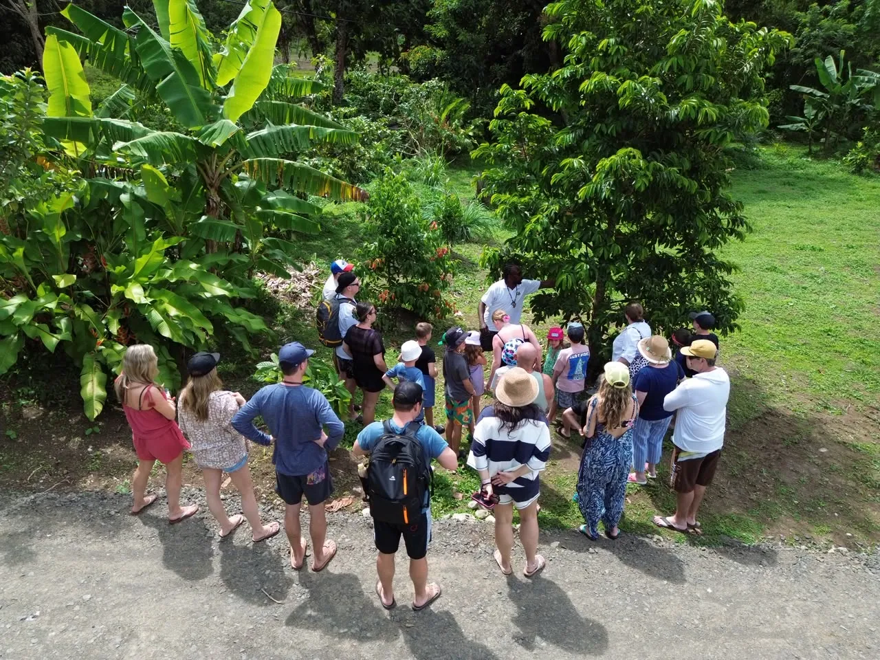Authentic Farm Tour Experience-4