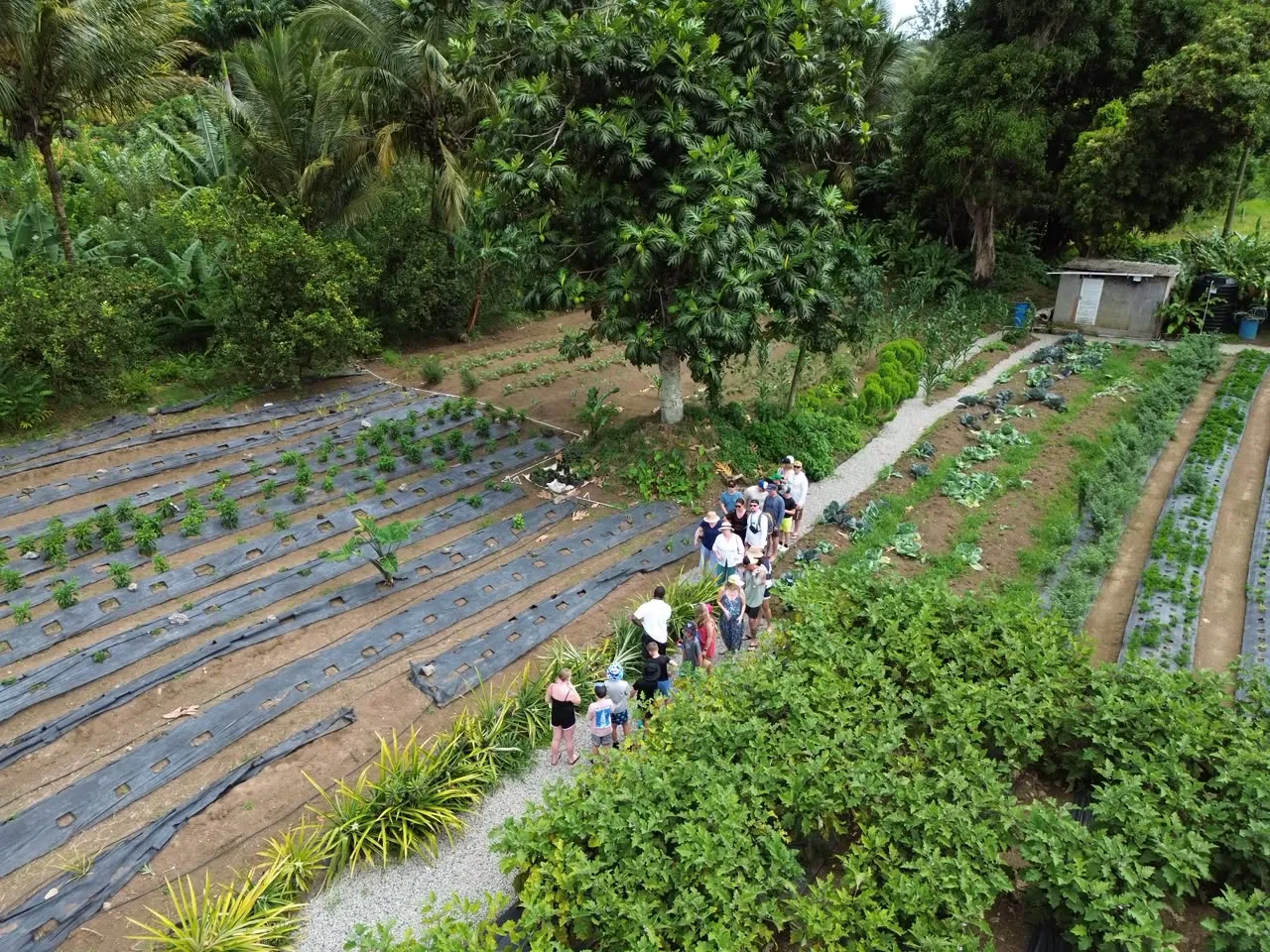 Authentic Farm Tour Experience-5